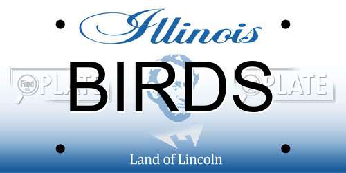 BIRDS Illinois License Plate