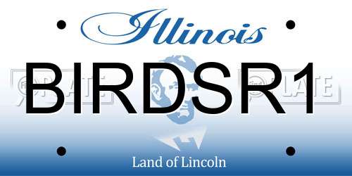 BIRDSR1 Illinois License Plate