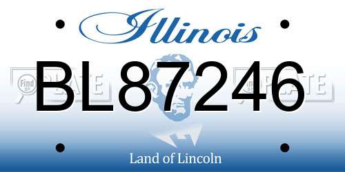 BL87246 Illinois License Plate