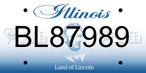 BL87989 Illinois License Plate
