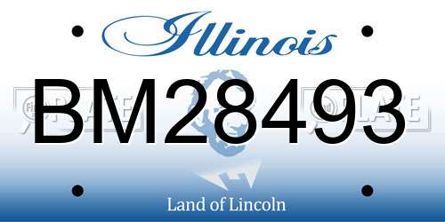 BM28493 Illinois License Plate