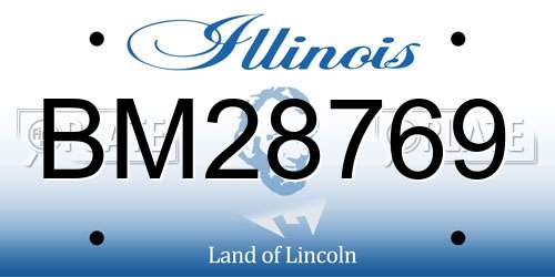 BM28769 Illinois License Plate