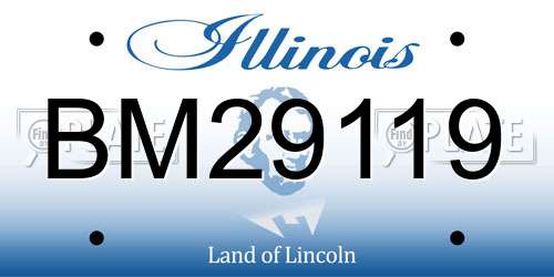 BM29119 Illinois License Plate