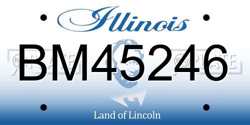 BM45246 Illinois License Plate