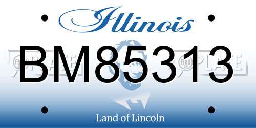 BM85313 Illinois License Plate