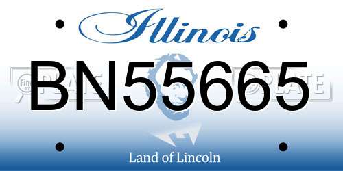 BN55665 Illinois License Plate