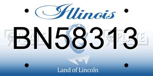 BN58313 Illinois License Plate