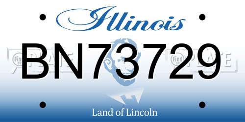 BN73729 Illinois License Plate
