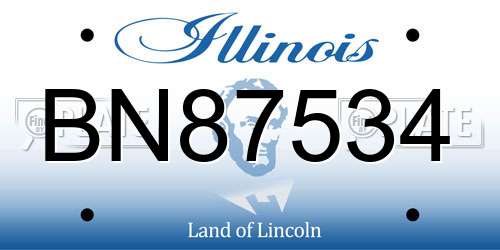 BN87534 Illinois License Plate