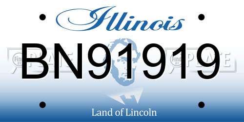 BN91919 Illinois License Plate