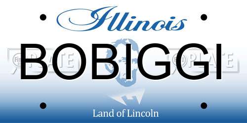 BOBIGGI Illinois License Plate
