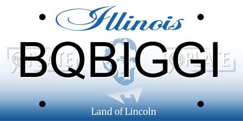 BQBIGGI Illinois License Plate