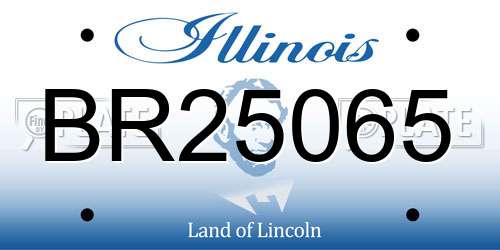 BR25065 Illinois License Plate