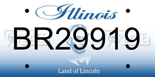 BR29919 Illinois License Plate