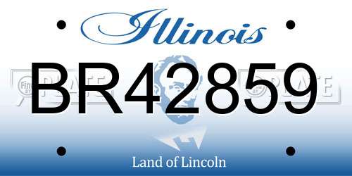 BR42859 Illinois License Plate