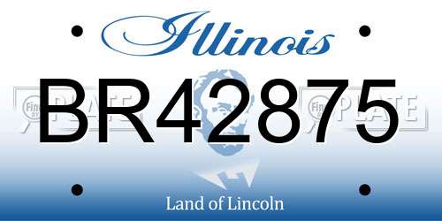 BR42875 Illinois License Plate