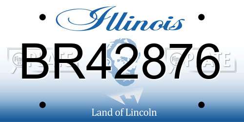 BR42876 Illinois License Plate