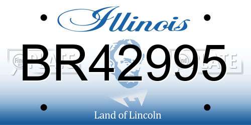 BR42995 Illinois License Plate