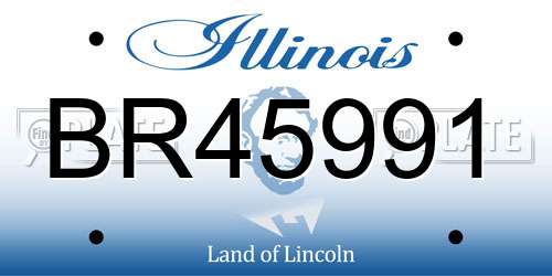 BR45991 Illinois License Plate