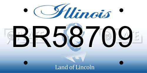 BR58709 Illinois License Plate