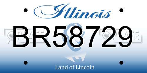 BR58729 Illinois License Plate