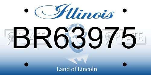 BR63975 Illinois License Plate