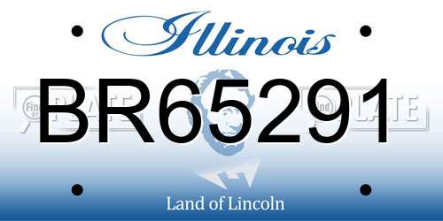 BR65291 Illinois License Plate