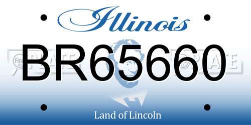 BR65660 Illinois License Plate