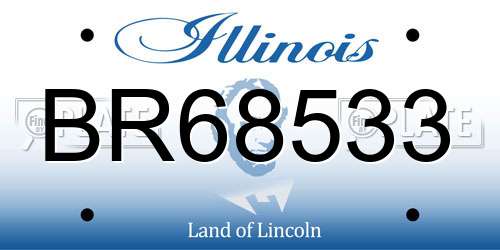 BR68533 Illinois License Plate