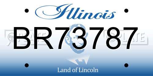 BR73787 Illinois License Plate