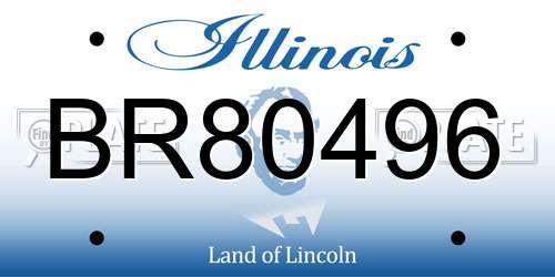 BR80496 Illinois License Plate