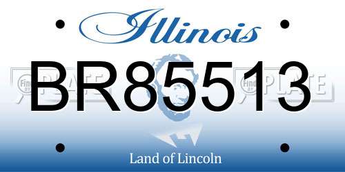 BR85513 Illinois License Plate