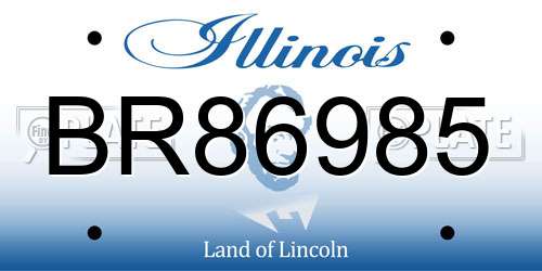 BR86985 Illinois License Plate