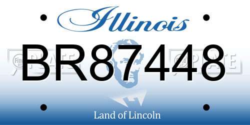 BR87448 Illinois License Plate
