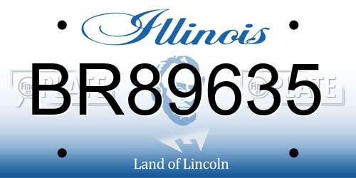 BR89635 Illinois License Plate