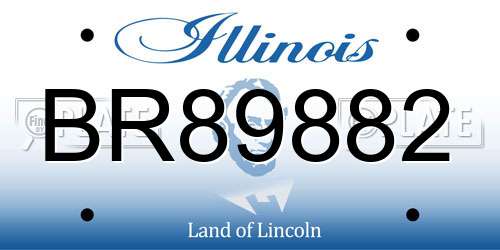 BR89882 Illinois License Plate