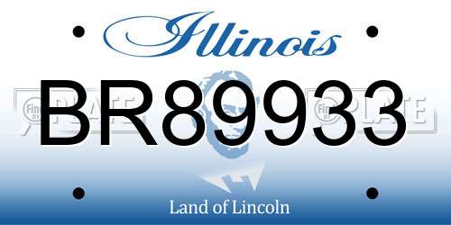 BR89933 Illinois License Plate
