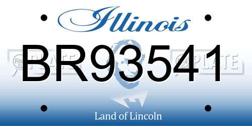 BR93541 Illinois License Plate