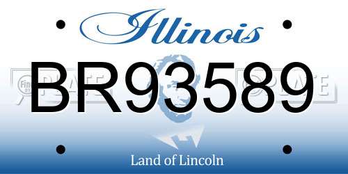 BR93589 Illinois License Plate