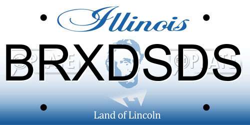 BRXDSDS Illinois License Plate