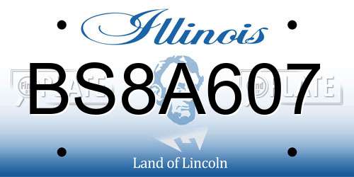 BS8A607 Illinois License Plate