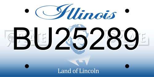 BU25289 Illinois License Plate