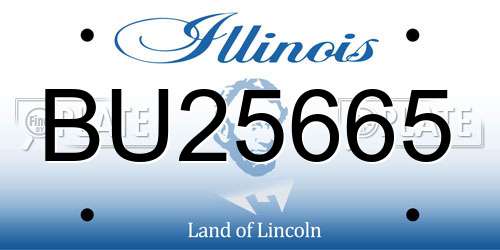 BU25665 Illinois License Plate