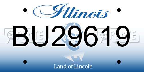 BU29619 Illinois License Plate