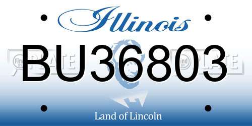 BU36803 Illinois License Plate