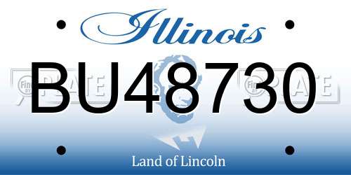 BU48730 Illinois License Plate