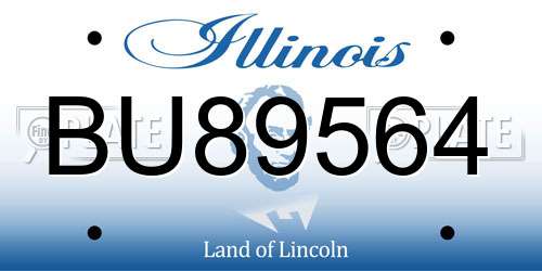 BU89564 Illinois License Plate