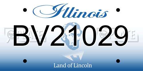 BV21029 Illinois License Plate