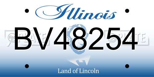 BV48254 Illinois License Plate