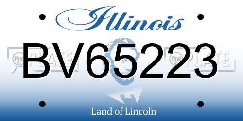 BV65223 Illinois License Plate